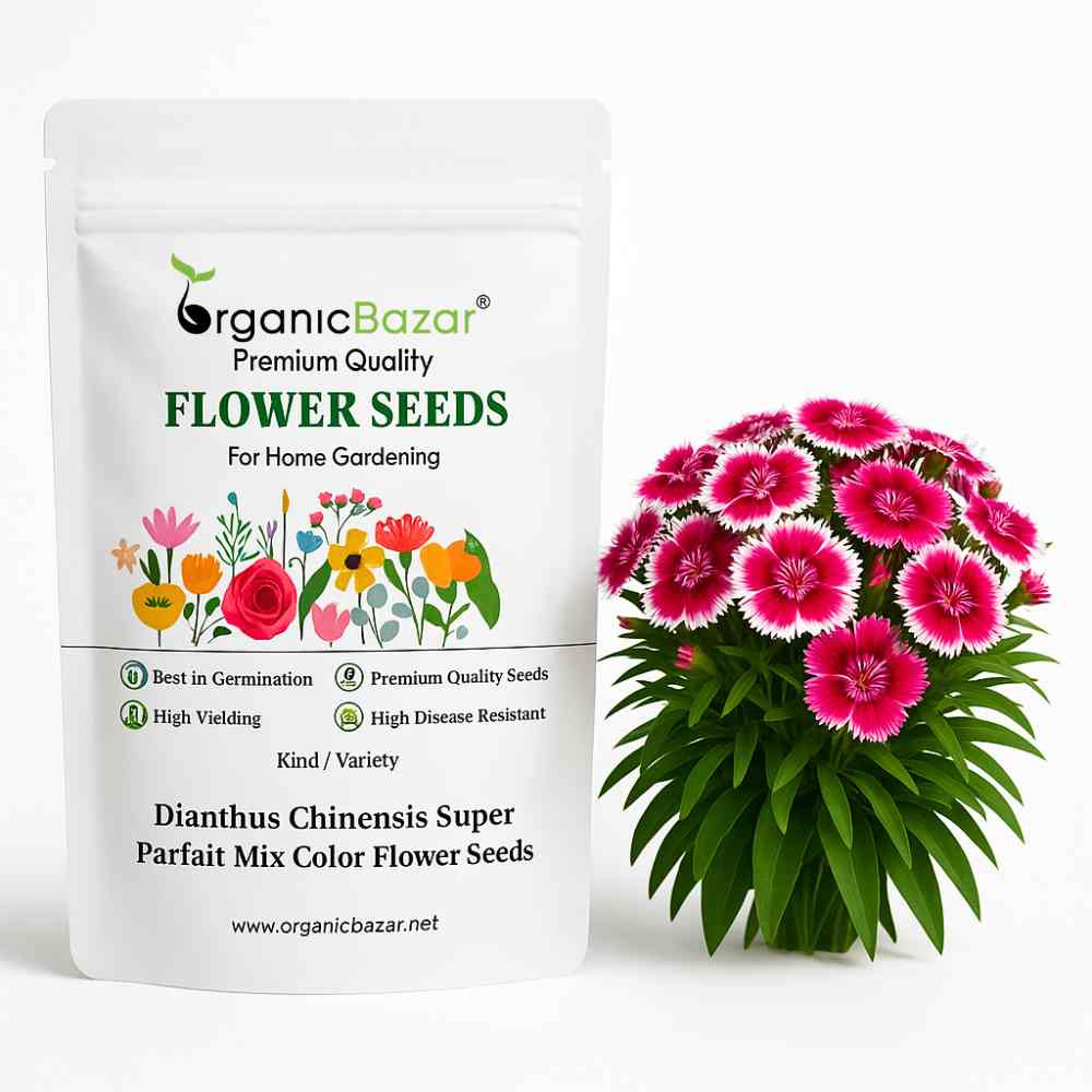 Dianthus Chinensis Super Parfait Mix Color Flower Seeds (25 Seeds) High Germination, Easy To grow, Colorful Flower Seeds for Balcony Gardening
