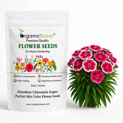 Dianthus Chinensis Super Parfait Mix Color Flower Seeds (25 Seeds) High Germination, Easy To grow, Colorful Flower Seeds for Balcony Gardening