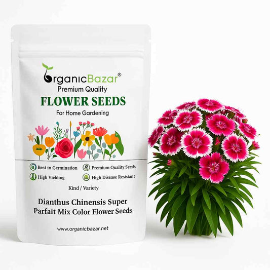 Dianthus Chinensis Super Parfait Mix Color Flower Seeds (25 Seeds) High Germination, Easy To grow, Colorful Flower Seeds for Balcony Gardening