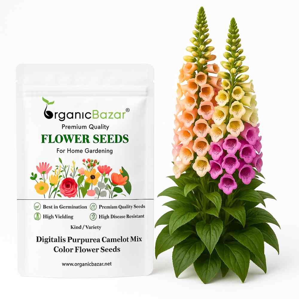 Digitalis Purpurea Camelot Mix Color Flower Seeds (30 Seeds)