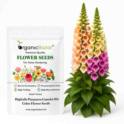Digitalis Purpurea Camelot Mix Color Flower Seeds (30 Seeds)