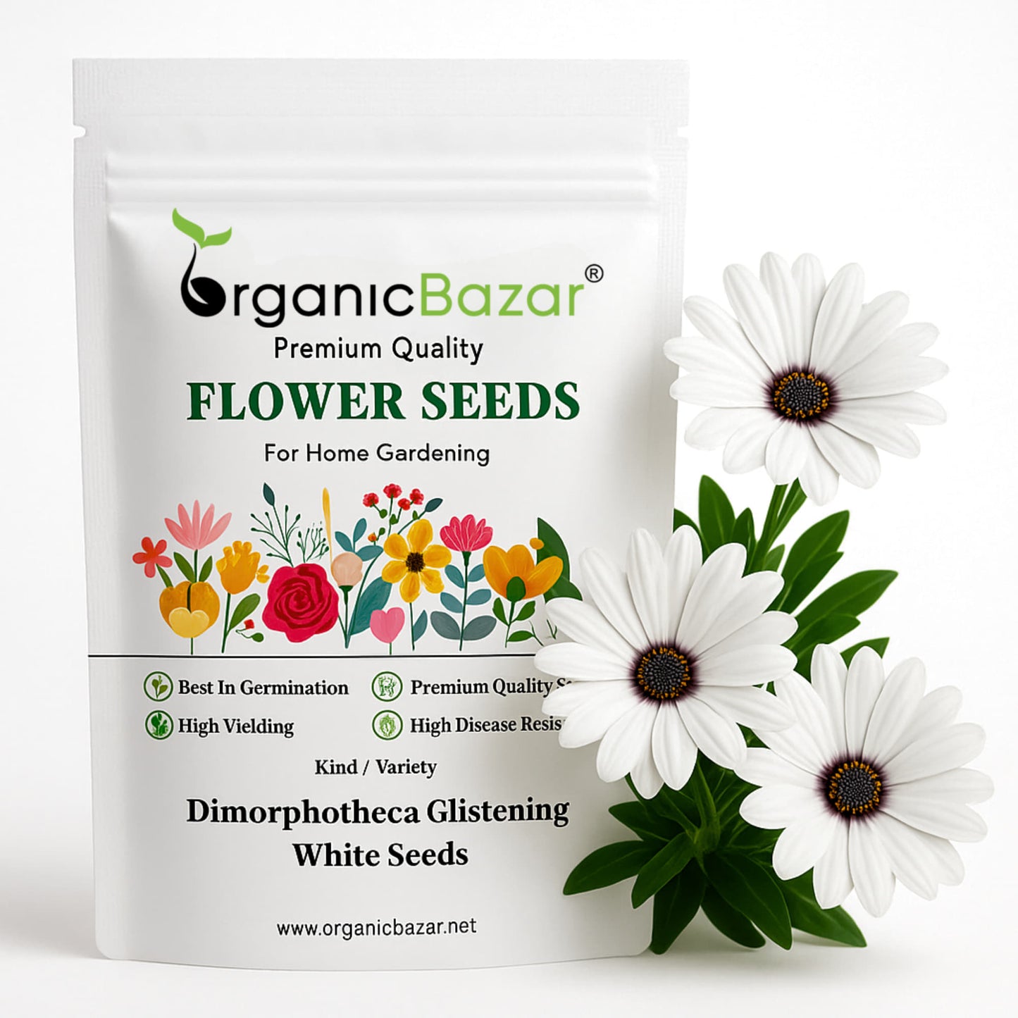 Dimorphotheca Glistening White Seeds (50 Seeds) High Germination/ Easy To grow/ Perfect for pots, balconies, or Terrace gardens