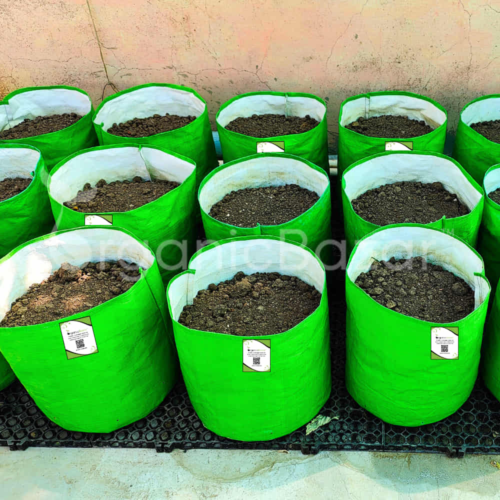 Drain Cell / Drainage Mat For Terrace Garden 50x30x2 cm (10 Nos)