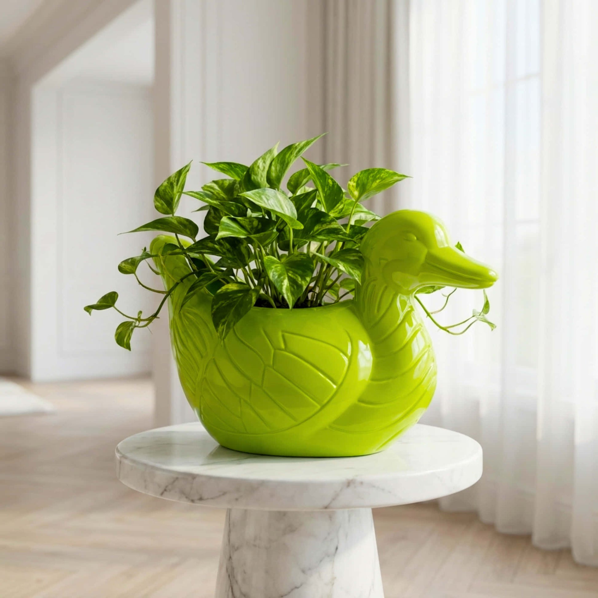 duck plant pot Duck Plastic Pot, Unique & Charming Decorative Planters for Indoor & Outdoor Garden – Organicbazar