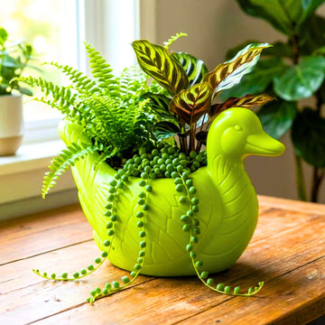 Duck Plastic Pot, Unique and Charming Decorative Planters, Ideal for Indoor and Outdoor Gardening or Gifting Purpose (Pack of 1, Lime  Green)