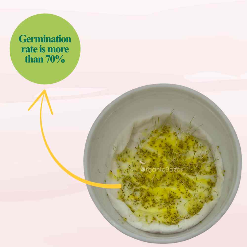 Durva (Doob) Grass Seeds (5g)