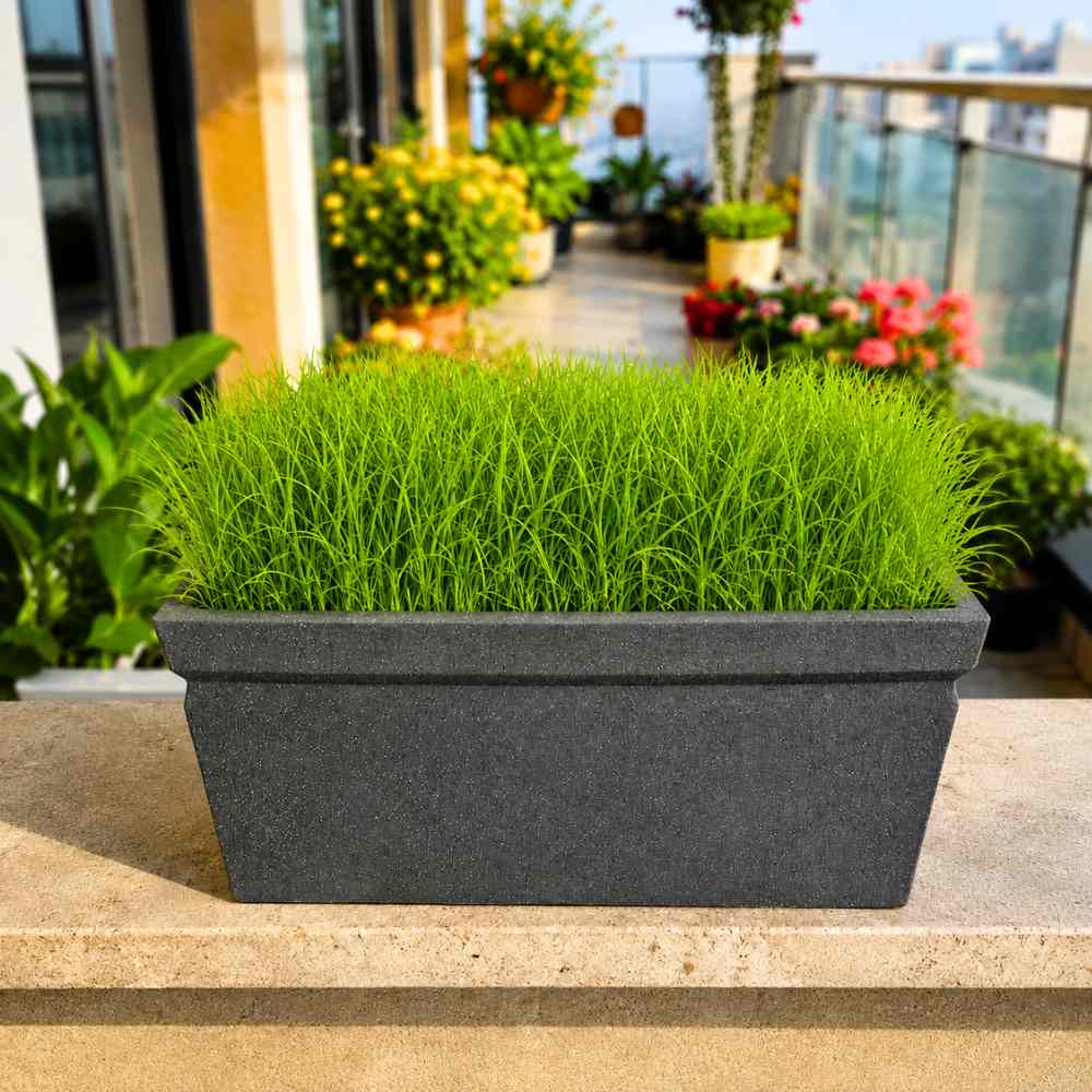 Durva (Doob) Grass Seeds (5g)