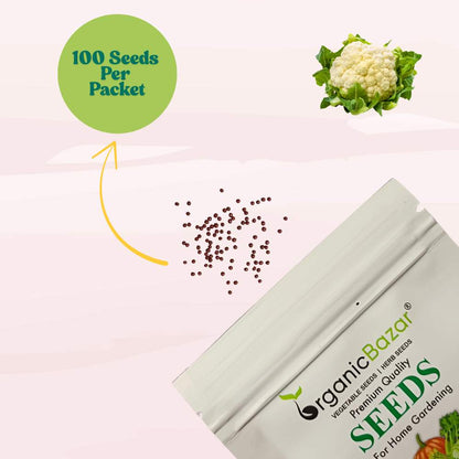 Early Cauliflower Seeds - 100 Seeds(Phool Gobhi/फूलगोभी के बीज) Early Harvest Variety 🥦 | Easy to Grow 🌱 | Ideal for Terrace & Kitchen Gardening 🏡