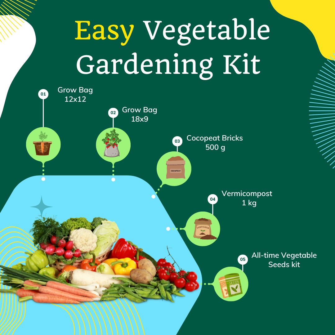 OrganicBazar Easy Vegetable Gardening Kit for Home Garden - Starter Kit
