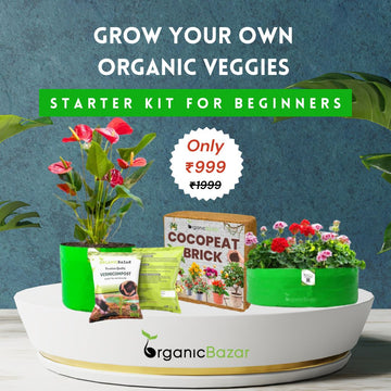 Easy Vegetable Gardening Kit for Home Garden