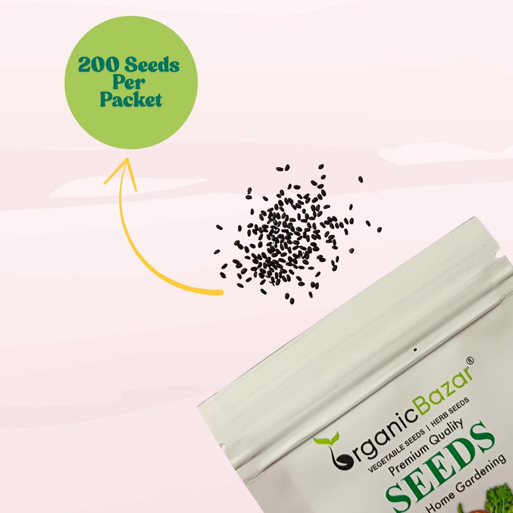 Emily Basil Seeds - 200 Seeds (Tulsi/तुलसी के बीज) High Germination/Perfect for pots, balconies, or Terrace gardens