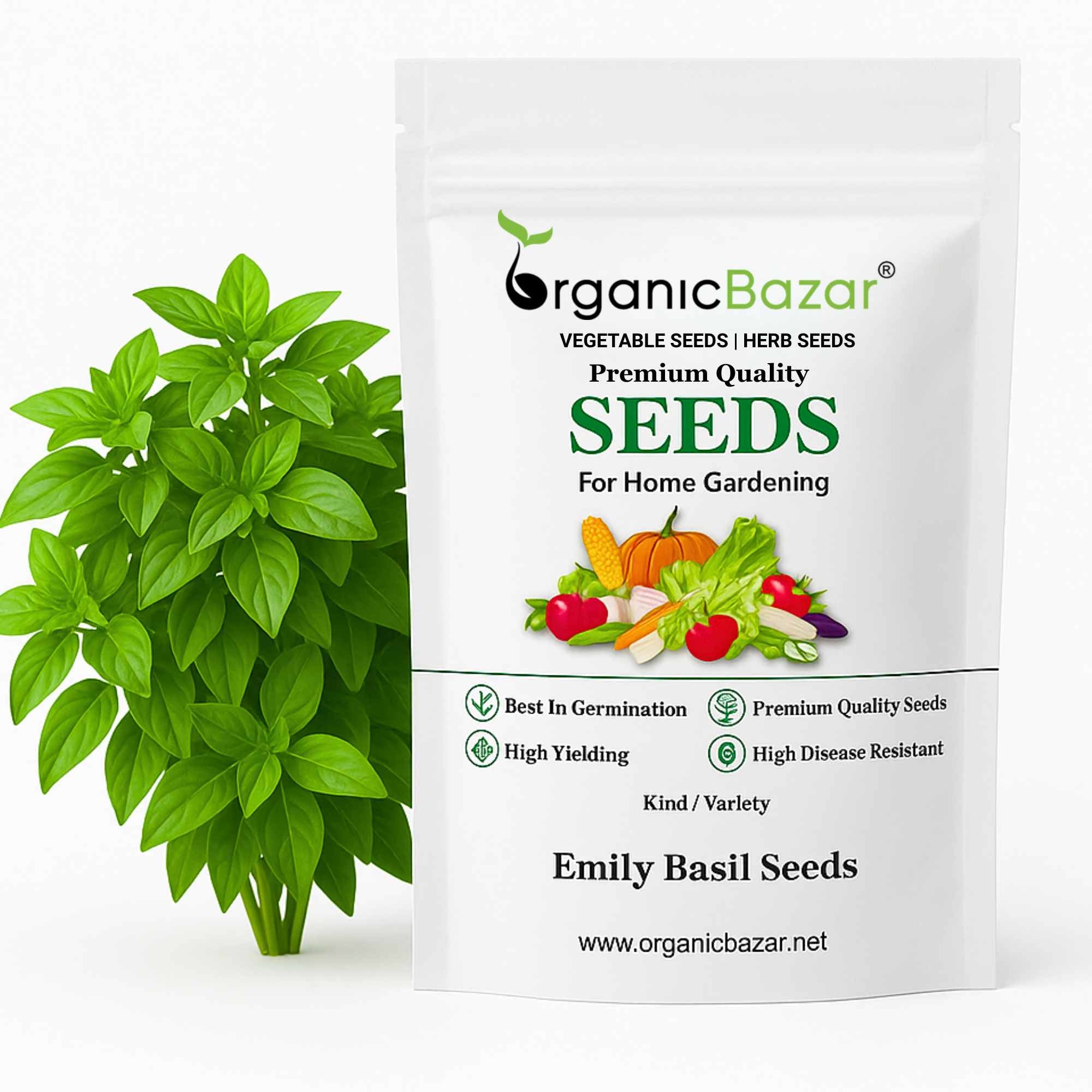 Emily Basil Seeds - 200 Seeds (Tulsi/तुलसी के बीज) High Germination/Perfect for pots, balconies, or Terrace gardens