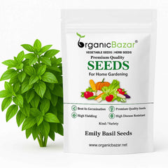 Emily Basil Seeds - 200 Seeds (Tulsi/तुलसी के बीज) High Germination/Perfect for pots, balconies, or Terrace gardens