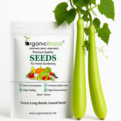 Extra Long Bottle Gourd (Lauki / Ghiya) Seeds (6 फीट लंबी लौकी के बीज)