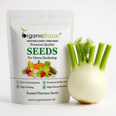Fennel Florence Seeds (100 Seeds)