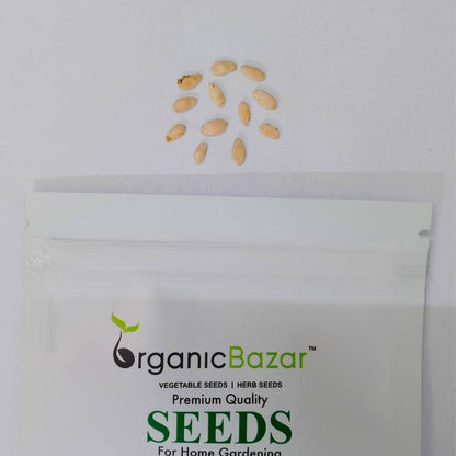 Foot kachri Seeds (कचरी के बीज) - 12 Seeds