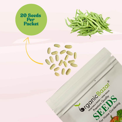 French Beans Bush Type (Dwarf) Seeds - 20 Seeds (फ्रेंच बीन्स के बीज) High Germination, Easy to Grow, High Yield Seeds For Terrace Gardening