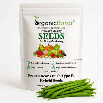 French Beans Bush Type (Dwarf) F1 Hybrid Seeds - 20 Seeds (फ्रेंच बीन्स के बीज) High Germination, Easy to Grow, High Yield Seeds For Terrace Gardening