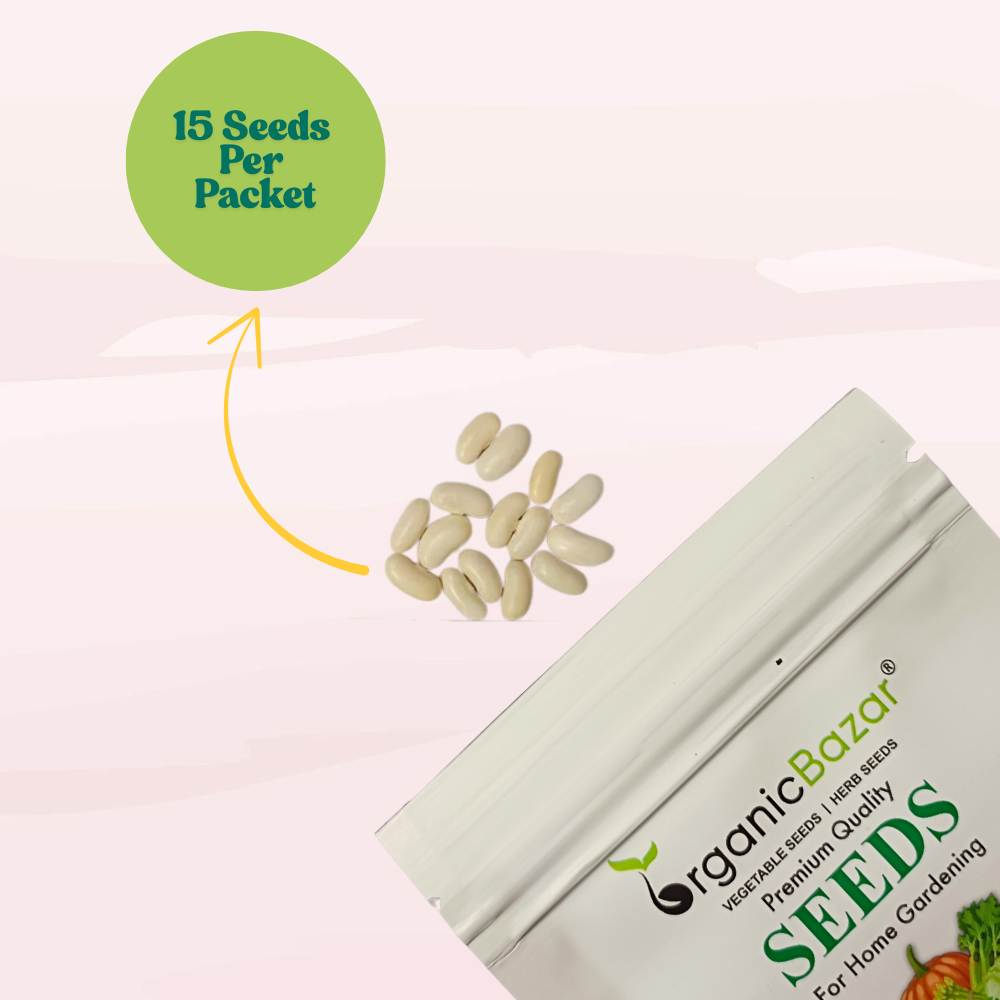 French Beans Purple Seeds - 15 Seeds (फ्रेंच बीन्स के बीज)  High Germination, Easy to Grow, High Yield Seeds For Terrace Gardening