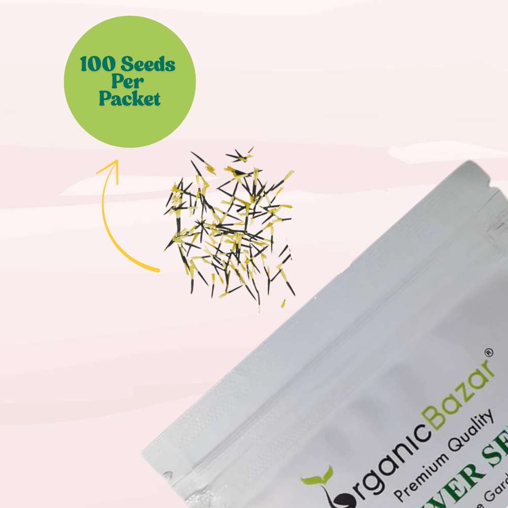 French Marigold Double Scarlet Red Seeds - 100 Seeds (Genda/गेंदा के फूल के बीज)