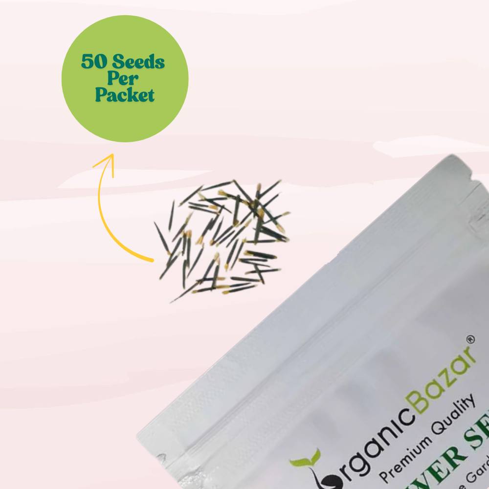 French Marigold Fireball Seeds - 50 Seeds (Genda/गेंदा के फूल के बीज) High Germination/ Easy To grow/ Perfect for pots, balconies, or Terrace gardens