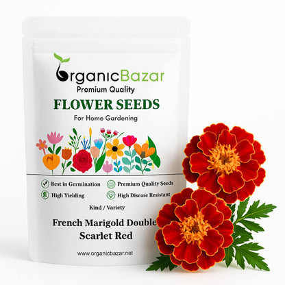 French Marigold Double Scarlet Red Seeds - 100 Seeds (Genda/गेंदा के फूल के बीज)