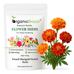 French Marigold Fireball Seeds - 50 Seeds (Genda/गेंदा के फूल के बीज) High Germination/ Easy To grow/ Perfect for pots, balconies, or Terrace gardens