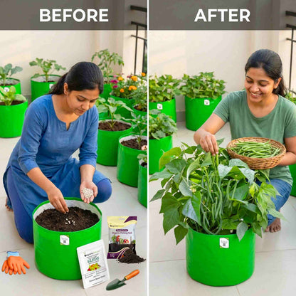 French Beans Seeds - 20 Seeds (फ्रेंच बीन्स के बीज) High Germination, Easy to Grow, High Yield Seeds For Terrace Gardening