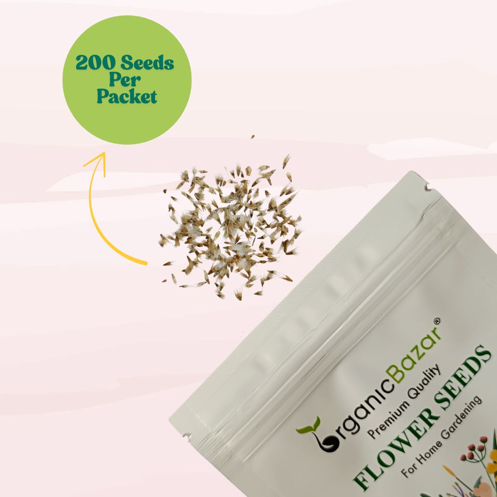 Gaillardia Aristata Mix Seeds (200 Seeds) Easy To Grow, High Germination, Perfect for pots, balconies, or Terrace gardens