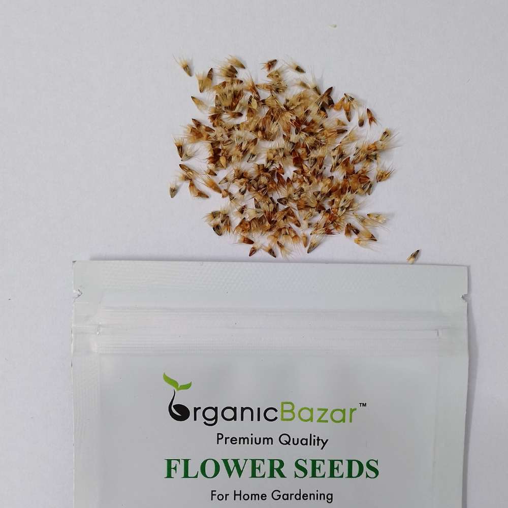 Gaillardia seeds hotsell