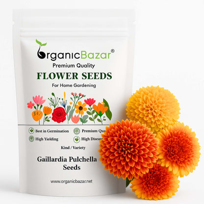 Gaillardia Pulchella Mix Seeds (200 Seeds) Easy To Grow, High Germination, Perfect for pots, balconies, or Terrace gardens