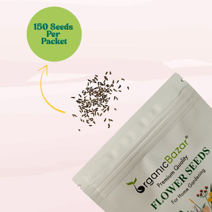 Gazania Star Light Dwarf Mix Seeds (150 Seeds) Easy To Grow, High Germination, Perfect for pots, balconies, or Terrace gardens