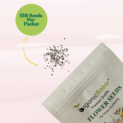 Gazania Sunshine Mix Seeds (150 Seeds) Easy To Grow, High Germination, Perfect for pots, balconies, or Terrace gardens