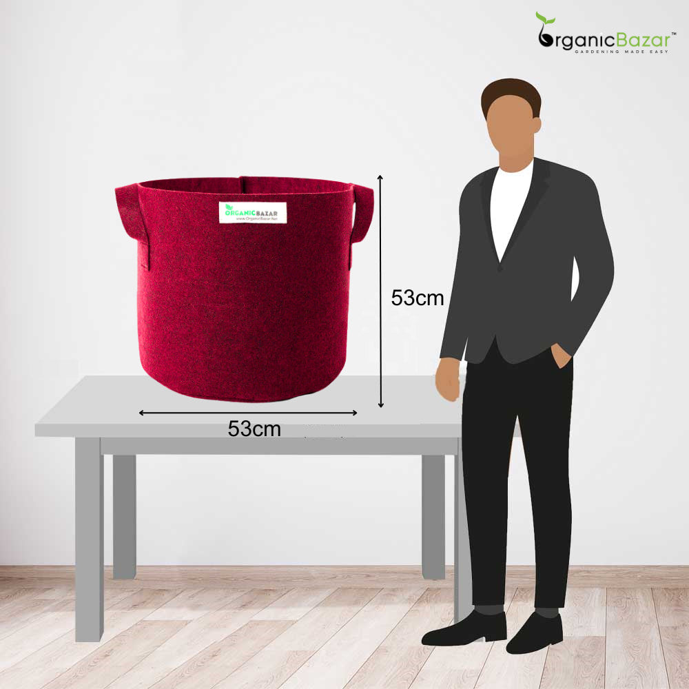 Geo Fabric 21×21 Big Size Grow Bag For Home Gardening Suitable For Fruit Plants