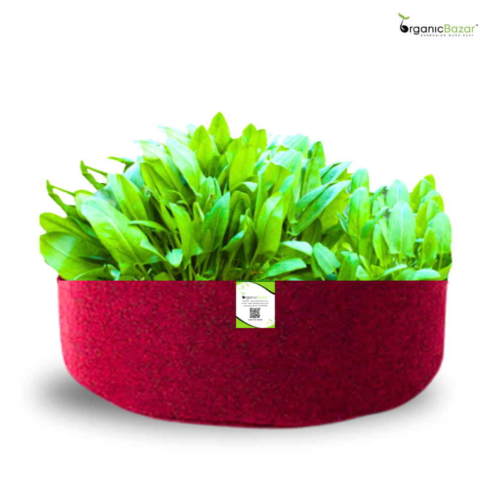 Geo Fabric 24x9 Grow Bag For Terrace Gardening Suitable For Leafy Vegetable and Flower Plants