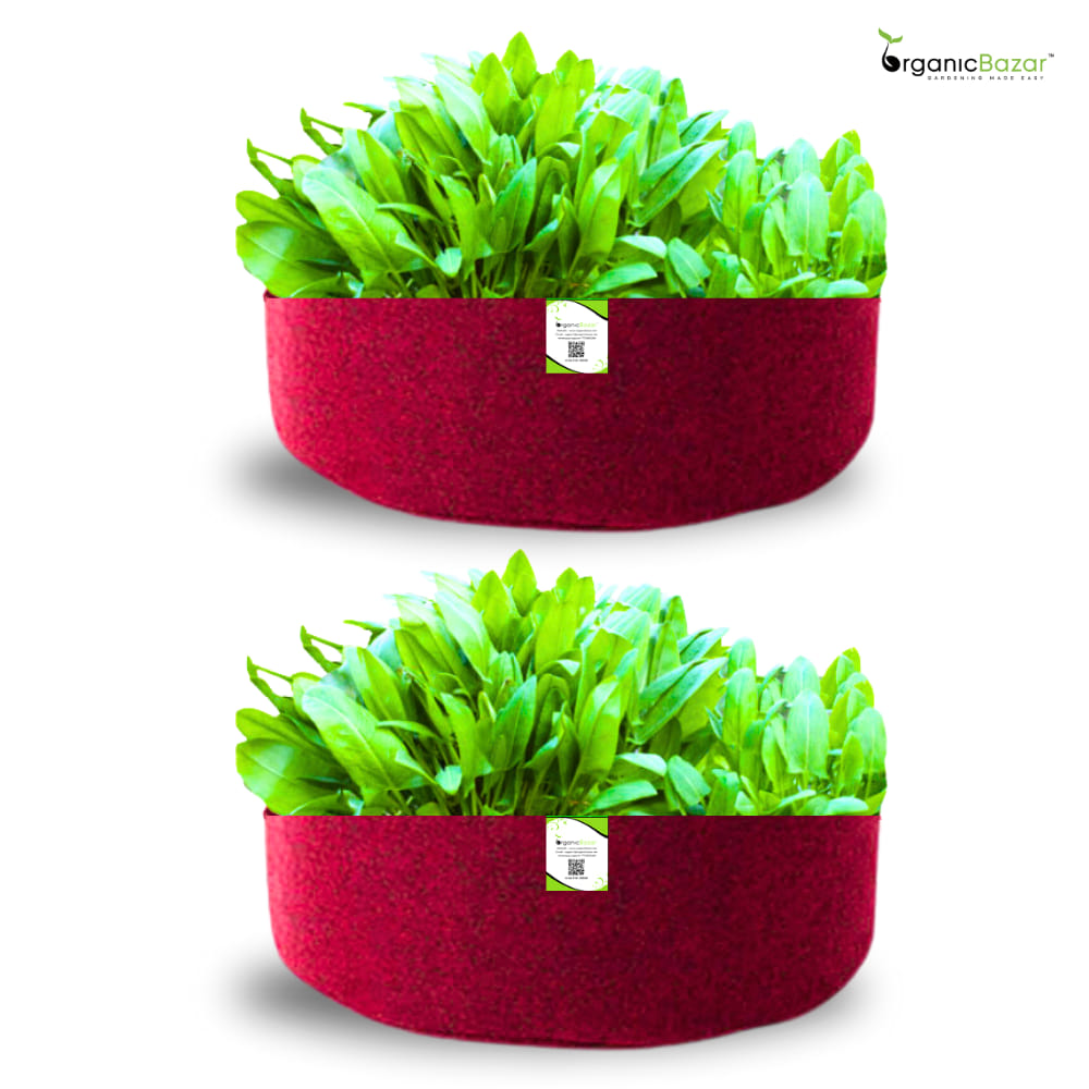 Geo Fabric 24x9 Grow Bag For Terrace Gardening Suitable For Leafy Vegetable and Flower Plants