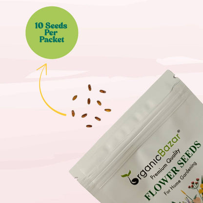 Geranium Mix Seeds (10 Seeds)  Easy To Grow, High Germination, Perfect for pots, balconies, or Terrace gardens