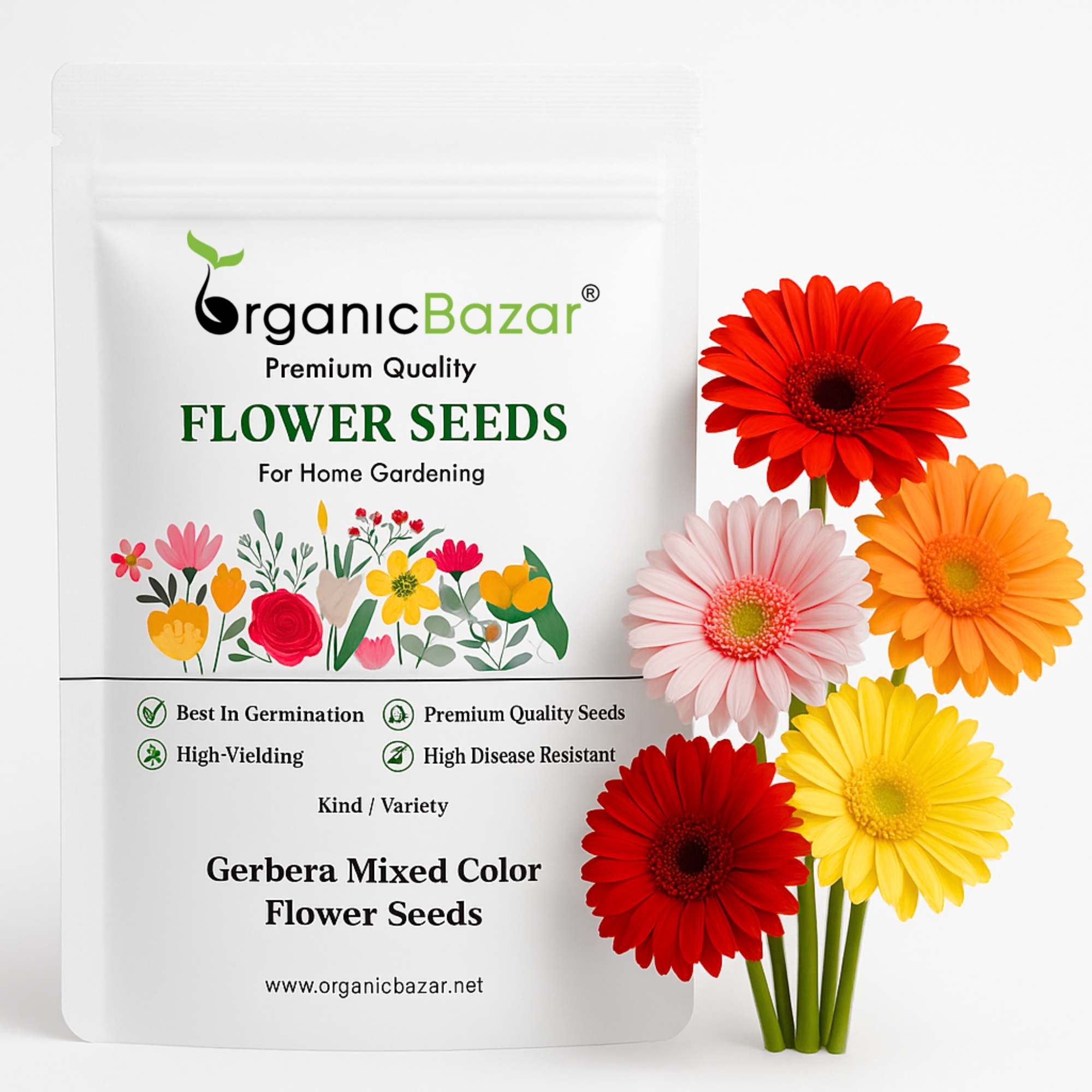 Gerbera Mixed Color Flower Seeds (10 Seeds) High Germination/Multi-Color Blooms/ Perfect for Pots, Terrace or Balcony Garden