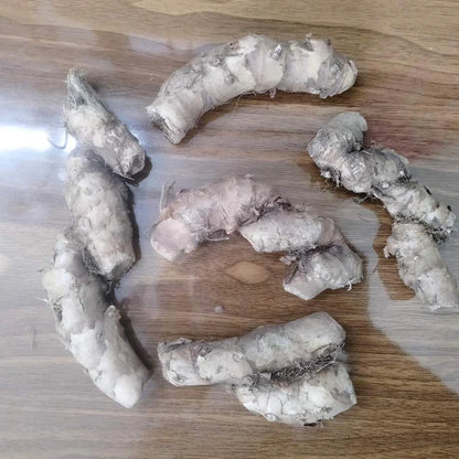 Ginger Lily Pink Flower Bulbs (05N)