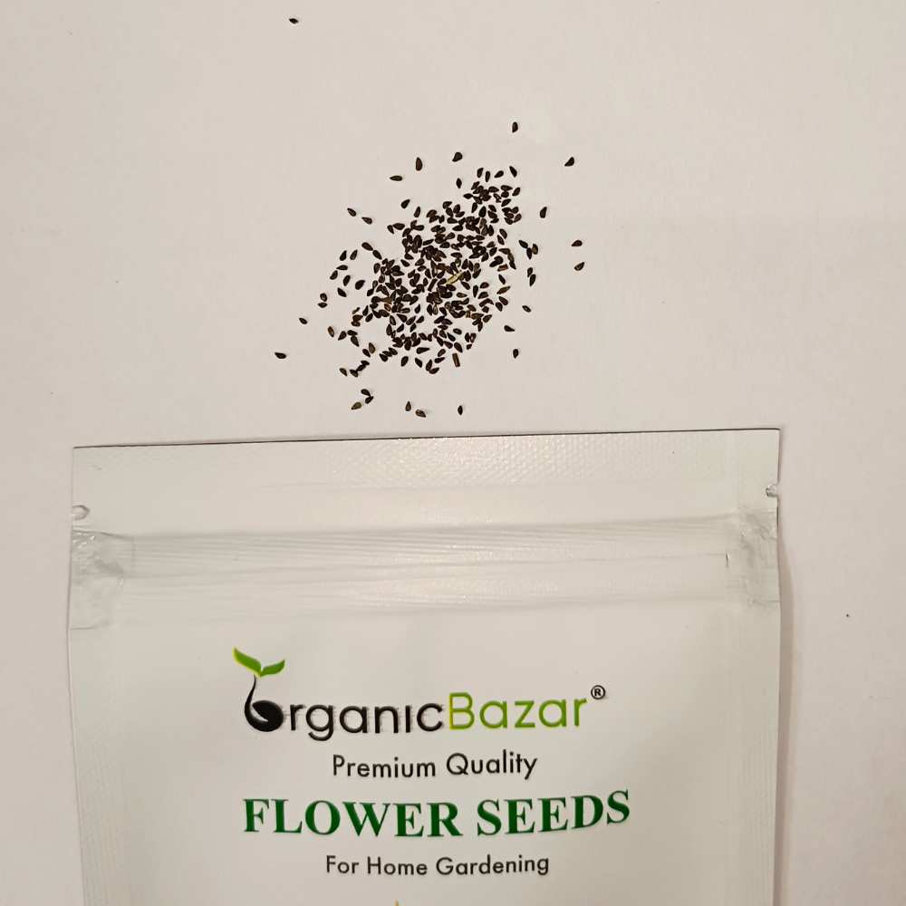Godetia Azaleaflora Mix Seeds (200 Seeds)