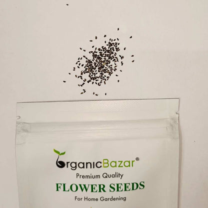 Godetia Azaleaflora Mix Seeds (200 Seeds)