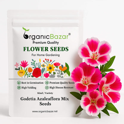 Godetia Azaleaflora Mix Seeds (200 Seeds)