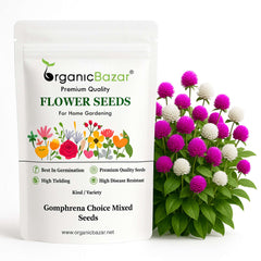 Gomphrena Choice Mixed Seeds (150 Seeds) Easy To Grow, High Germination, Perfect for pots, balconies, or Terrace gardens