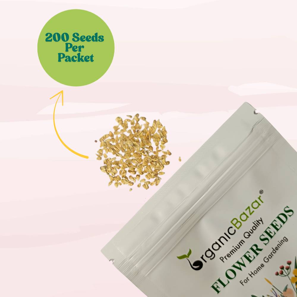 Gomphrena Strawberry Fields Seeds (200 Seeds) Easy To Grow, High Germination, Perfect for pots, balconies, or Terrace gardens