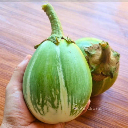 Desi Green Bharta Baingan (Op) Seeds - (20 Seeds) High Germination/ High Yield / Ideal for Terrace/Kitchen Gardening (Brinjal/Eggplant/बैंगन के बीज)