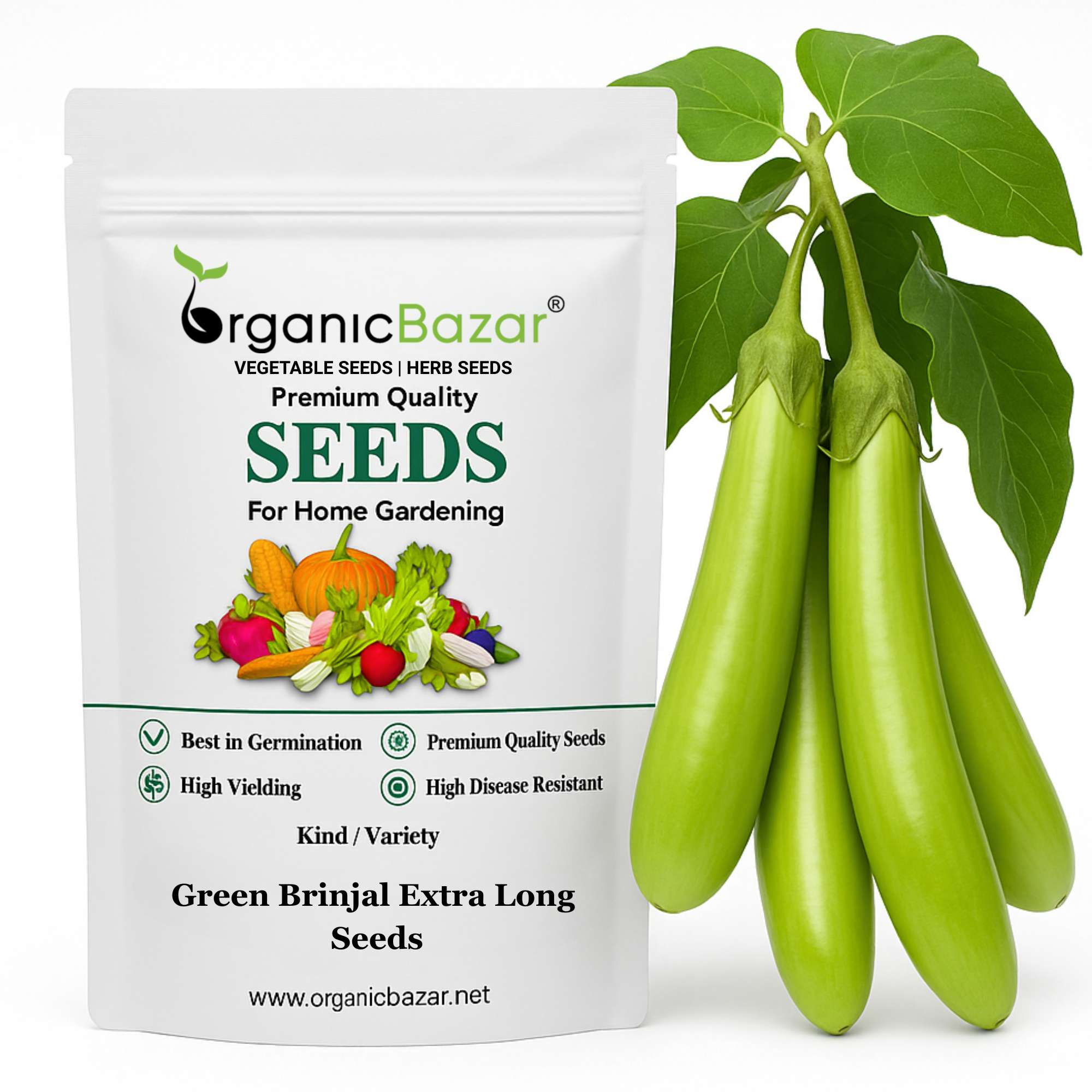 Green Brinjal Extra Long Seeds - (50 Seeds) High Germination/ High Yield / Ideal for Terrace/Kitchen Gardening (Lamba Baingan\Eggplant/लंबा बैंगन के बीज)