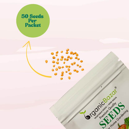 Green Brinjal Seeds (Long) - (50 Seeds) High Germination/ High Yield / Ideal for Terrace/Kitchen Gardening (Lamba hara Baingan/Eggplant/लंबा बैंगन के बीज)