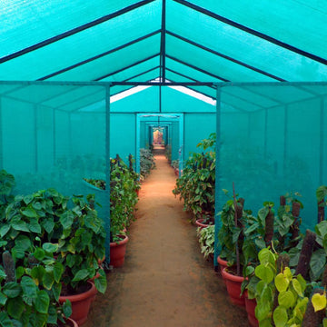 Green Shade Net 50% for Home Garden (4.5m X 3m)