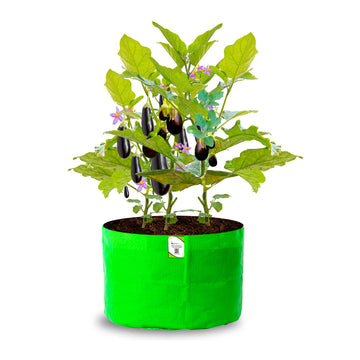 OrganicBazar 18x15 Grow Bag for Vegetable Garden, Premium HDPE 260 GSM, Green Plant Bags for Terrace Garden