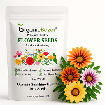 Gazania Sunshine Hybrids Mix Seeds (150 Seeds) Easy To Grow, High Germination, Perfect for pots, balconies, or Terrace gardens